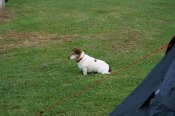 013-hungry-hill-camping-site-004