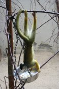 028-dublin-zoo-guinness-storehouse-camac-valley-cc-park-049