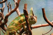 028-dublin-zoo-guinness-storehouse-camac-valley-cc-park-053